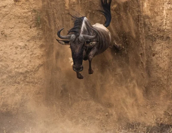 3 Days Tarangire, Ngorongoro & Lake Manyara Safari