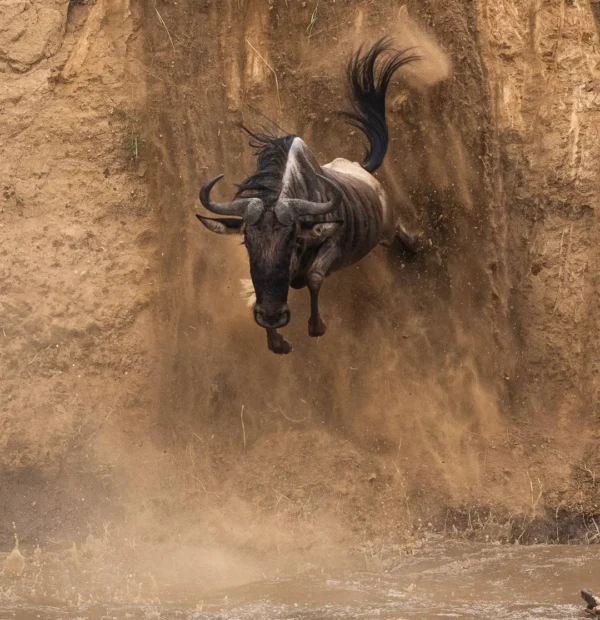 3 Days Tarangire, Ngorongoro & Lake Manyara Safari