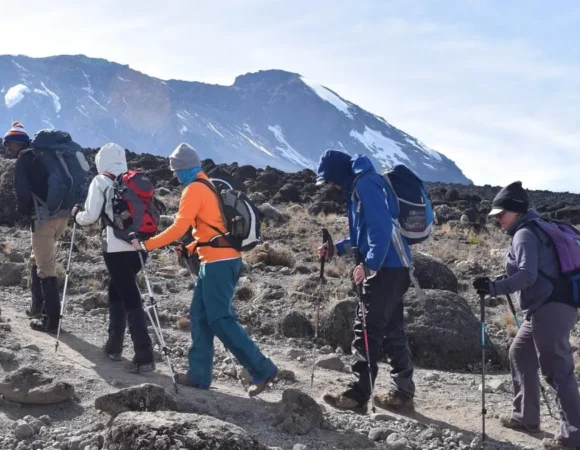 Choosing the Perfect Path to the Roof of Africa