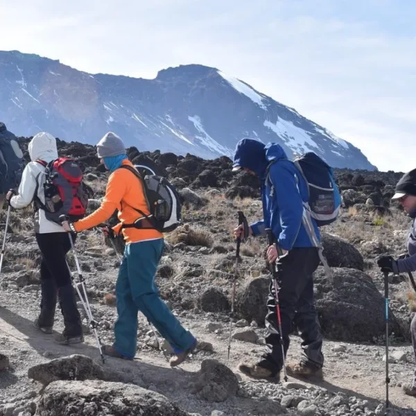 Choosing the Perfect Path to the Roof of Africa
