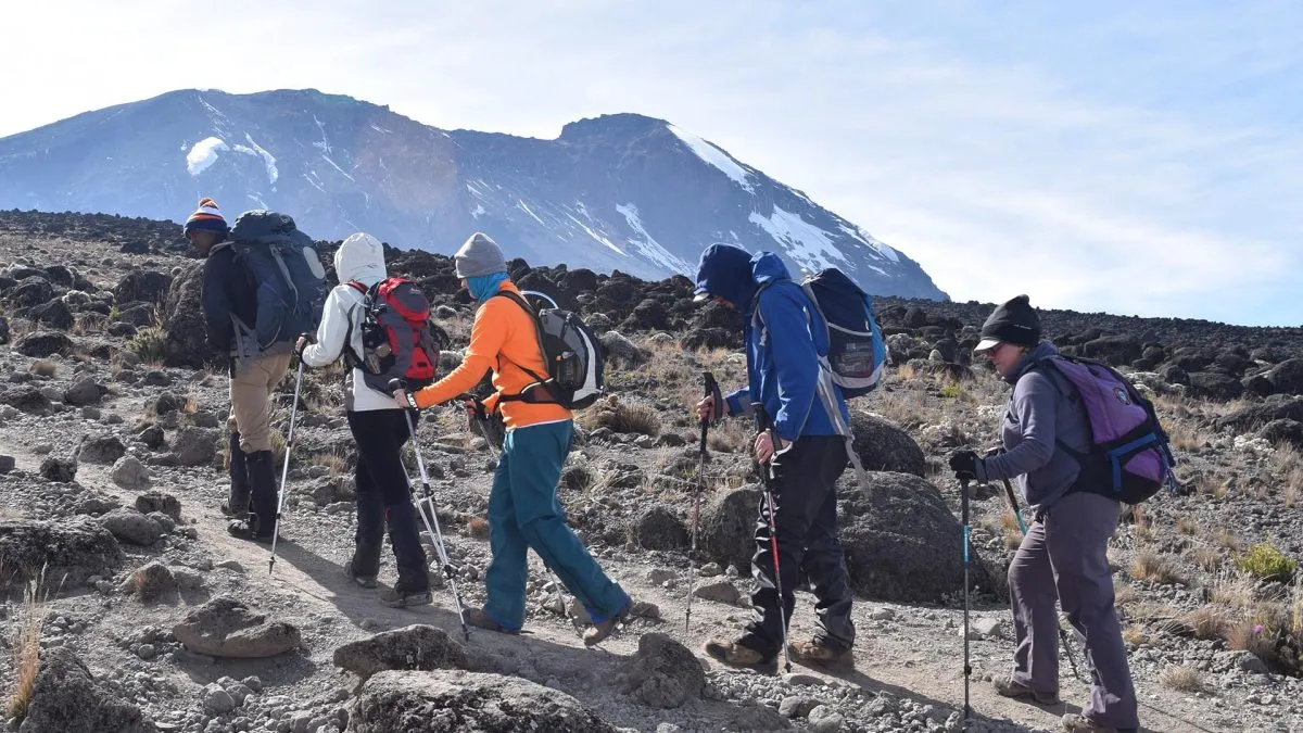 Trekkers climbing Mount Kilimanjaro via Marangu Route with guides.