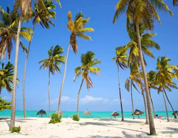 12 Days Tanzania & Zanzibar Combo Safari