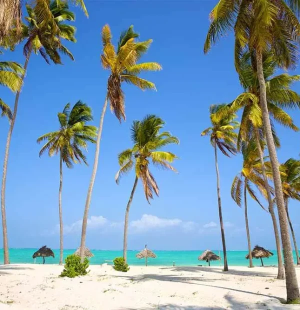 12 Days Tanzania & Zanzibar Combo Safari