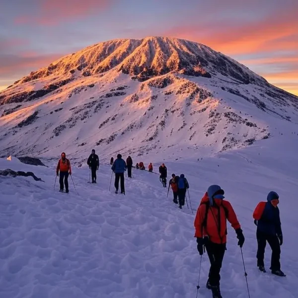Frozen glaciers and ice fields at Mount Kilimanjaro summit