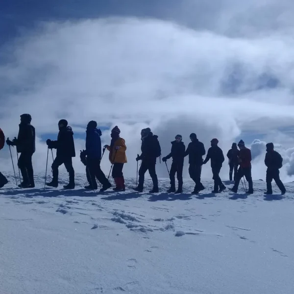 Trekking group on Rongai Route crossing alpine desert at 4000 meters