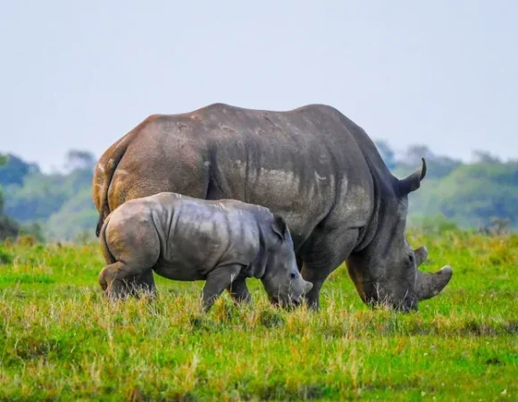 3 Days Wildlife and Cultural Experience in Tanzania