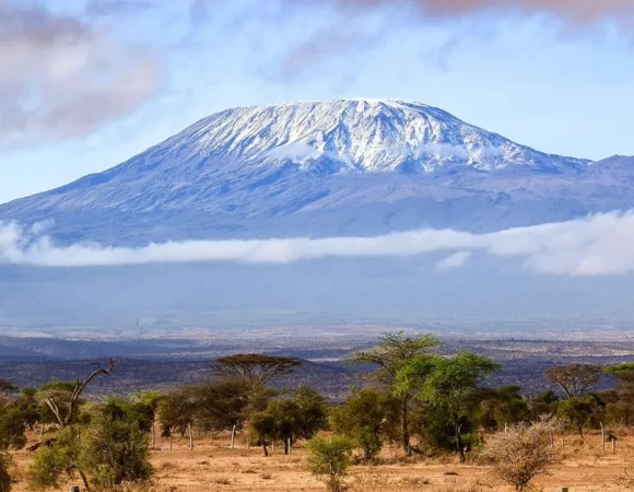6 Days Kilimanjaro Trekking via Rongai Route.