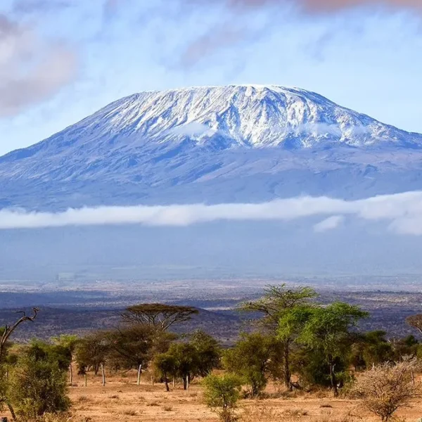ascension kilimanjaro with mothercitysafaris