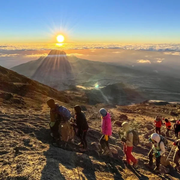 6 Days Kilimanjaro Trekking via Machame Route