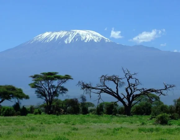 7 day Kilimanjaro trekking via Umbwe Route.