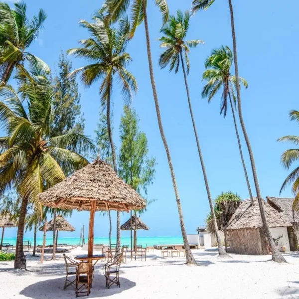 Peaceful Zanzibar beach morning with colorful sky and calm ocean